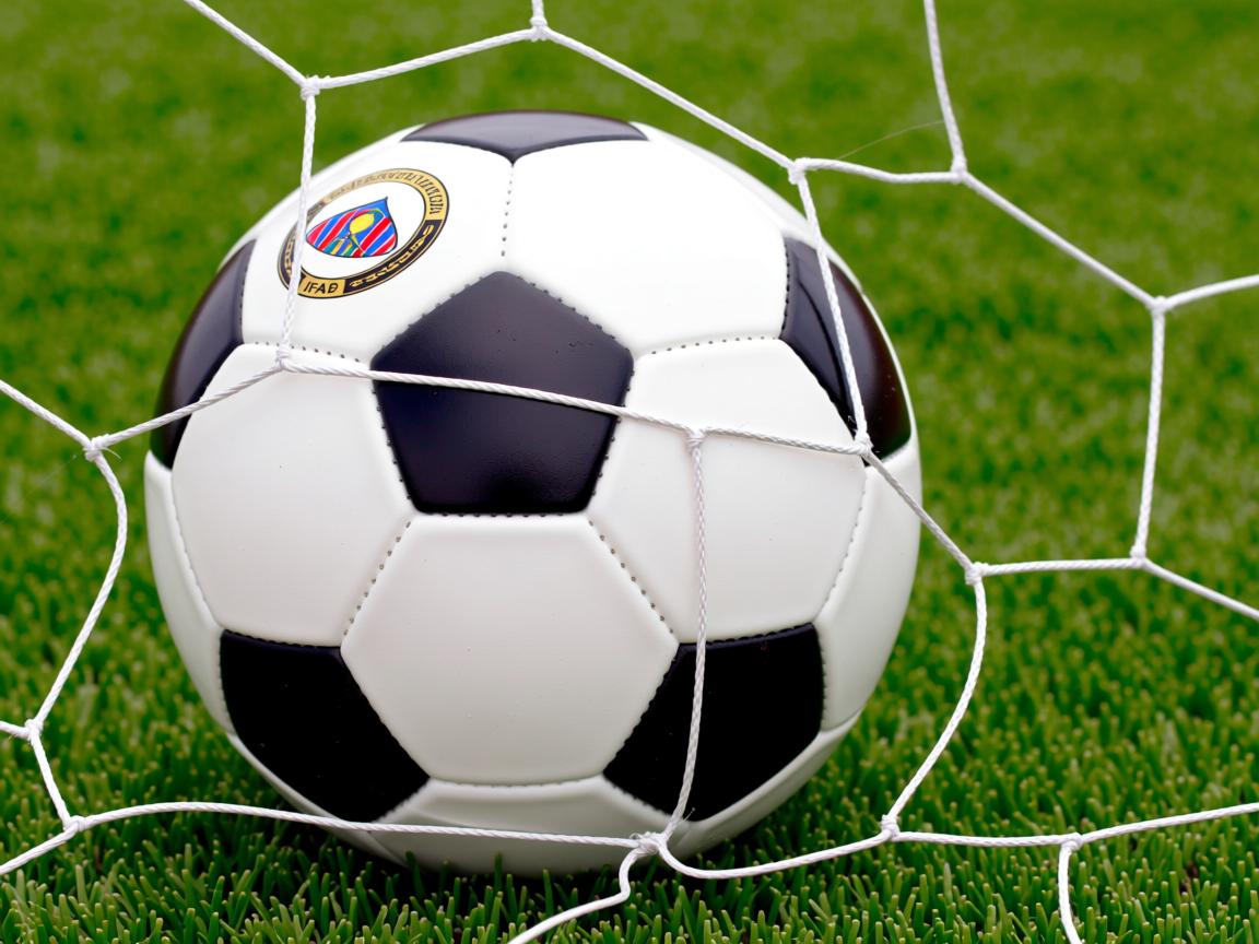 开yun官网-CBA球队推进教练考核制度标准化，cba教练布置战术